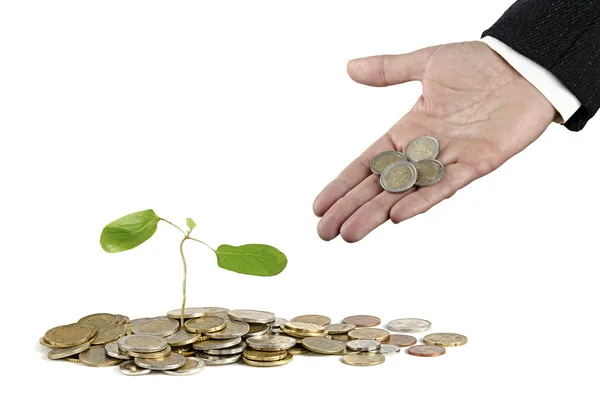 Investing to green business — Stock Photo, Image