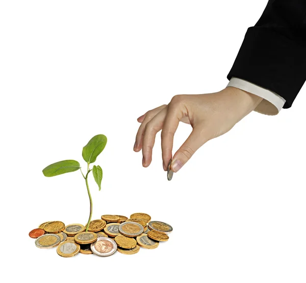 Investing to green business — Stock Photo, Image