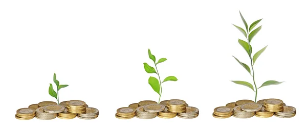 Saplings growing from coins — Stock Photo, Image