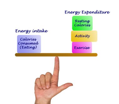 enerji alımı ve enerji harcama denge