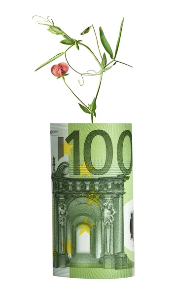Flower growing from euro bill — Stock Photo, Image