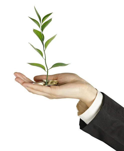 Investing to green business — Stock Photo, Image