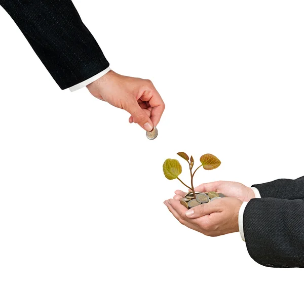 Investing to green business — Stock Photo, Image