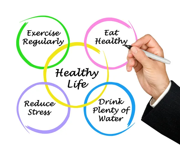 Diagram of healthy life — Stock Photo, Image