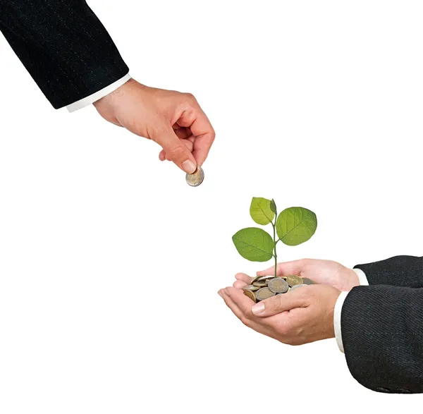 Investing to green business — Stock Photo, Image