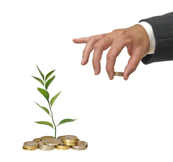 Investitionen in grüne Unternehmen — Stockfoto