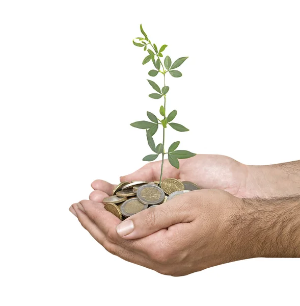 Investing to green business — Stock Photo, Image