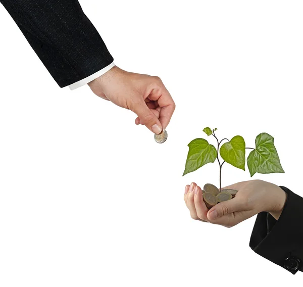 Investing to green business — Stock Photo, Image