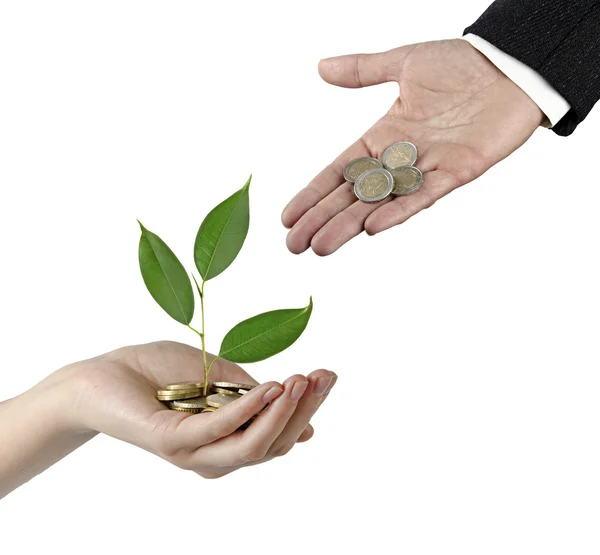 Investing to green business — Stock Photo, Image