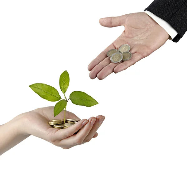 Investing to green business — Stock Photo, Image