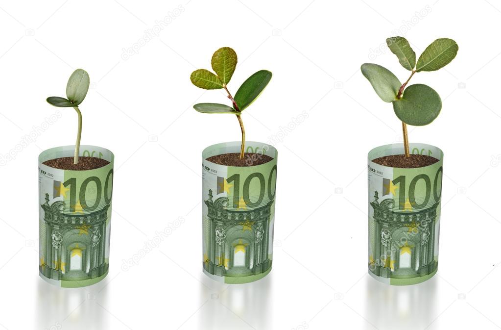 Saplings growing from euro banknots