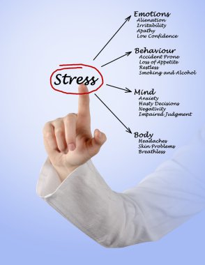 Diyagram stres sonuçları