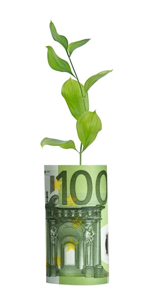 Plant growing from euro bill — Stock Photo, Image