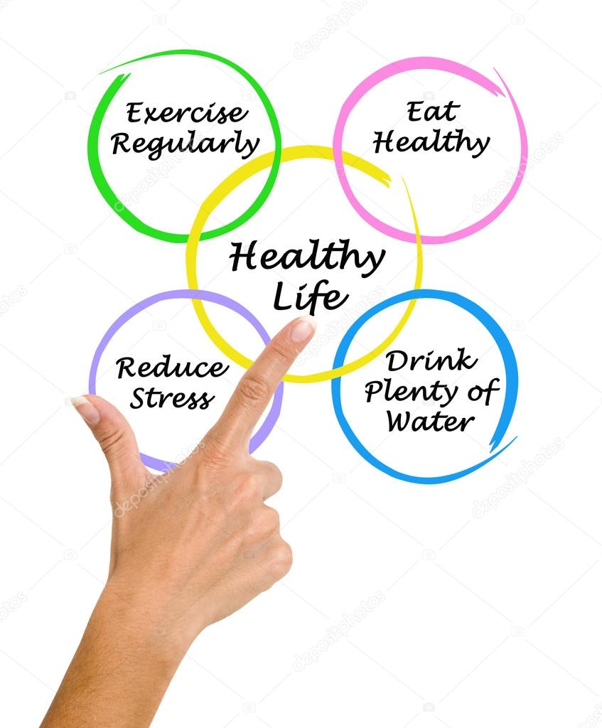 Diagram of healthy life