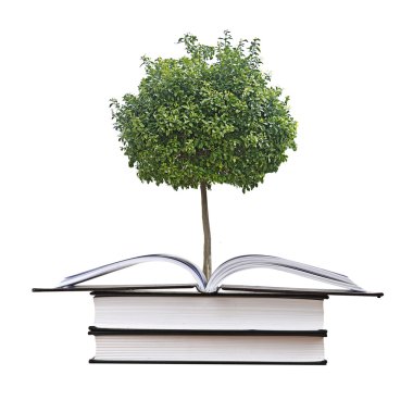 narenciye ağacı büyüyen açık kitap