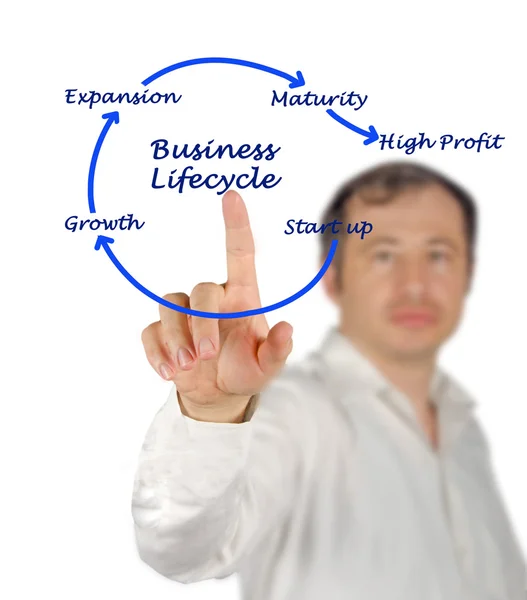 Business lifecycle — Stock Photo, Image