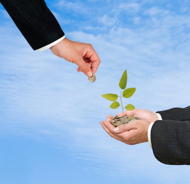 yeşil iş yatırım