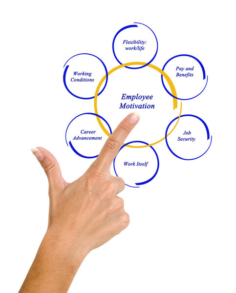 Диаграмма мотивации сотрудников
