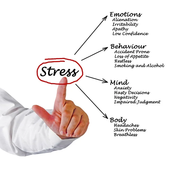 Diagram of stress consequences — Stock Photo, Image