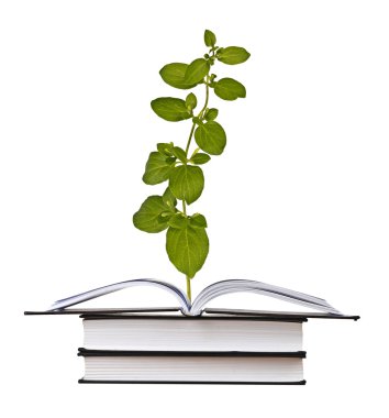 Açık kitap büyüyen bitki