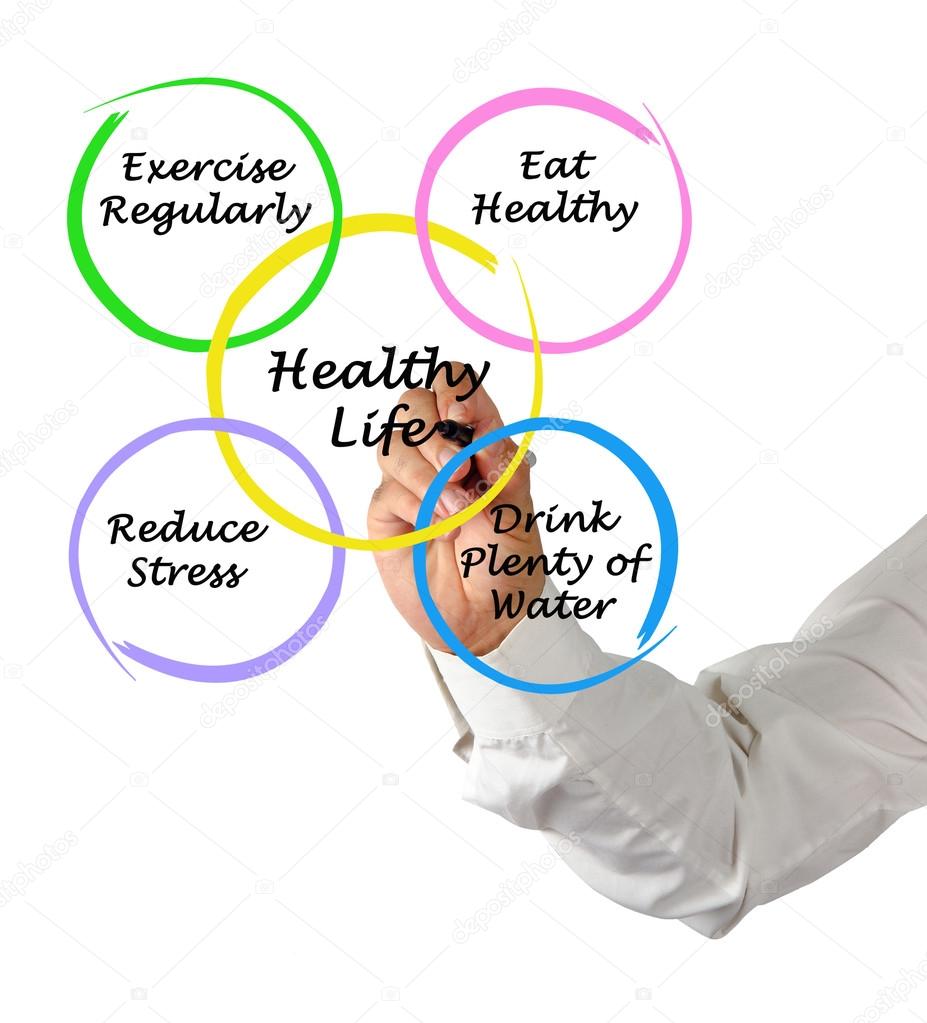 Diagram of healthy life