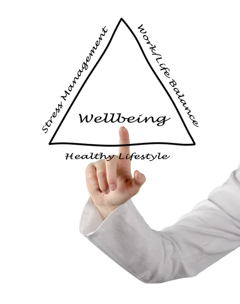 Diagrama de bem-estar — Fotografia de Stock