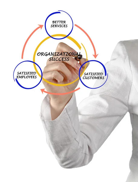 Management diagram — Stock Photo, Image