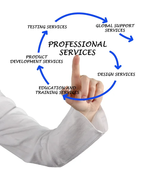 Diagram of professional services — Stock Photo, Image