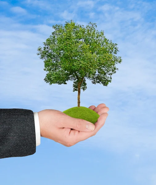 Baum in der Hand — Stockfoto