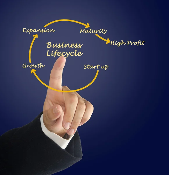 Business lifecycle — Stock Photo, Image