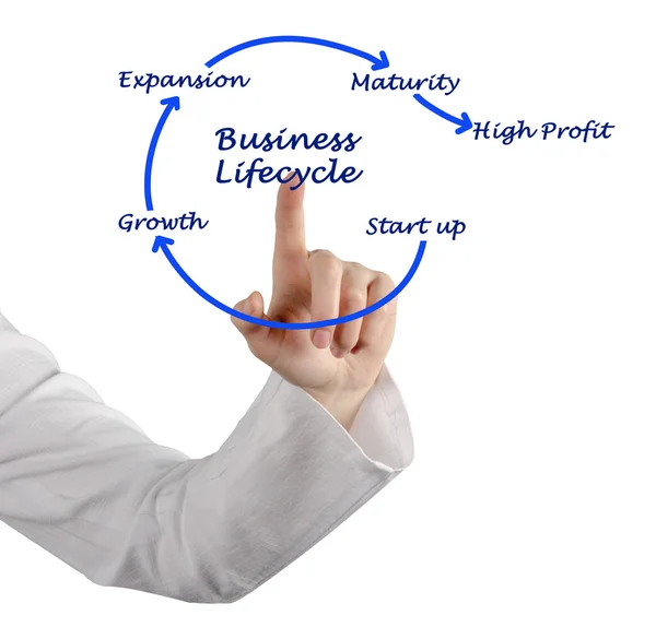 Business lifecycle — Stock Photo, Image