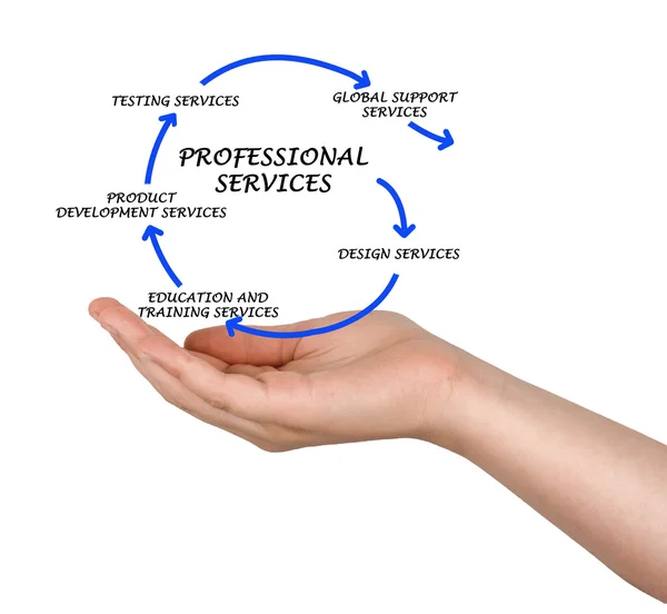 Diagram of professional services — Stock Photo, Image