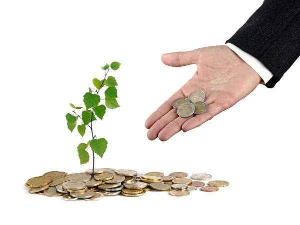 Investing to green business — Stock Photo, Image