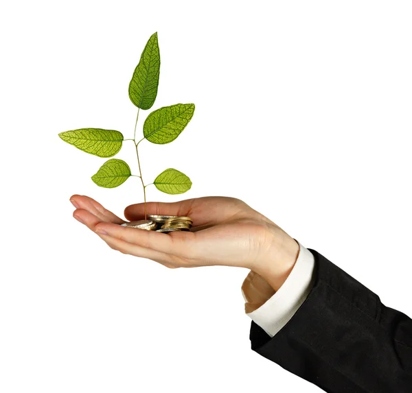 Investment to green business — Stock Photo, Image