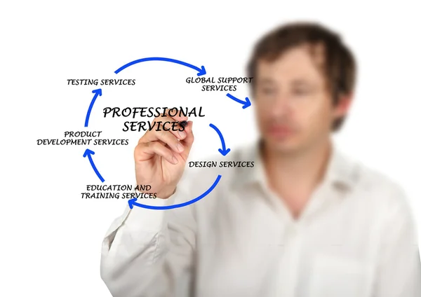 Diagram van professionele diensten — Stockfoto