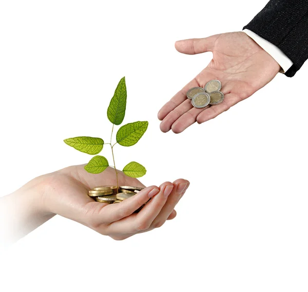 Investing to green business — Stock Photo, Image