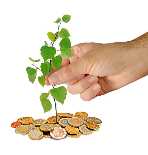 Investeringen in groene bedrijven — Stockfoto