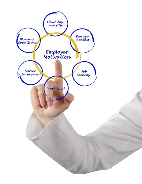 Diagram of employee motivation — Stock Photo, Image