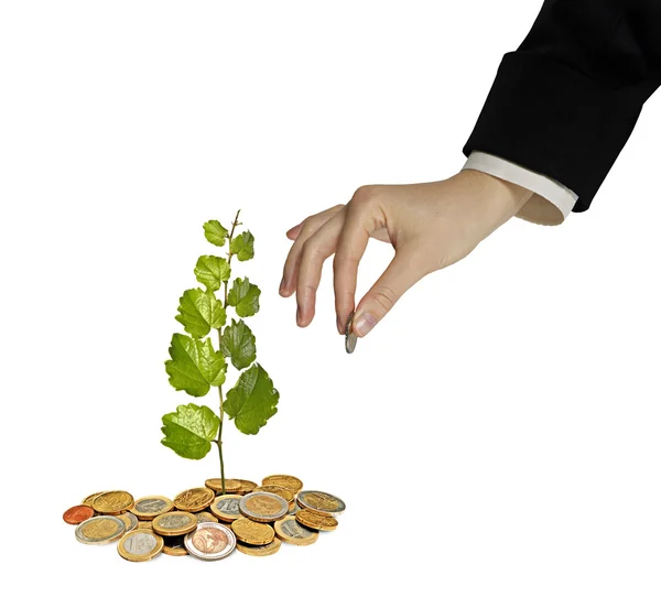 Investing to green business — Stock Photo, Image