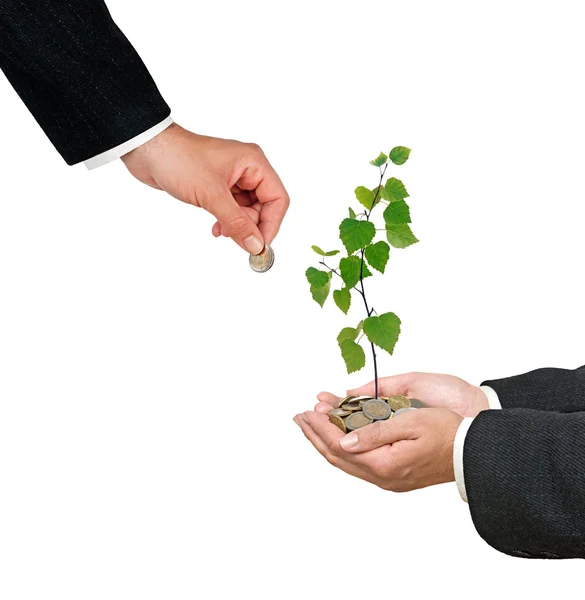 Investment to green business — Stock Photo, Image