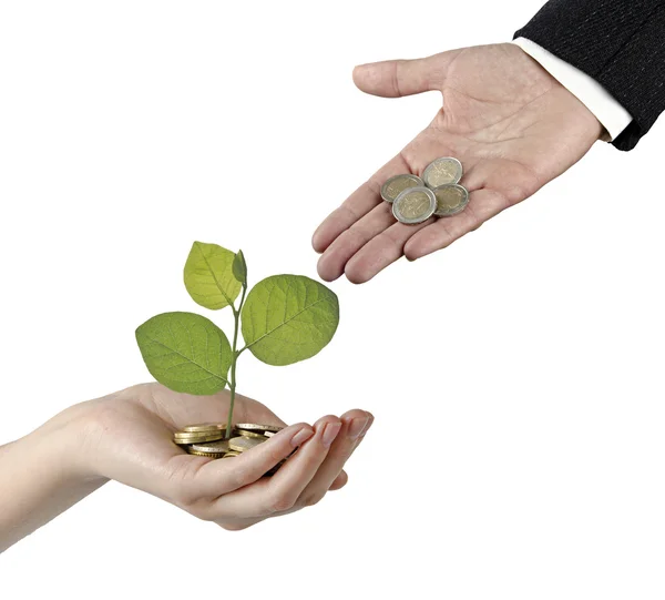 Investeringen in groene bedrijven — Stockfoto