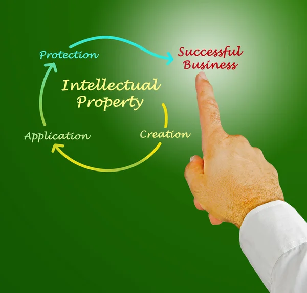 Intellectual property diagram — Stock Photo, Image