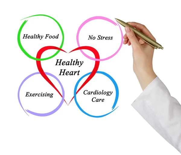Zdravé srdce — Stock fotografie