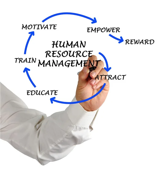 Human resourcemanagement — Stockfoto