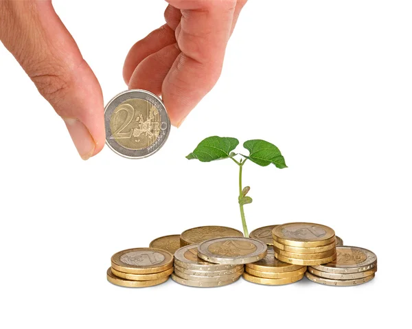 Investing to agriculture — Stock Photo, Image