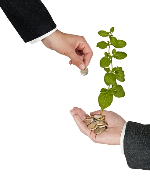 Investment to green business — Stock Photo, Image