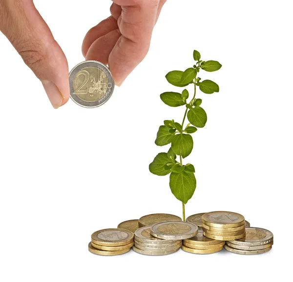 Investment to green business — Stock Photo, Image