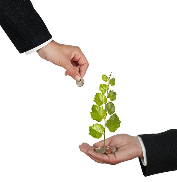 Inversión en empresas ecológicas — Foto de Stock