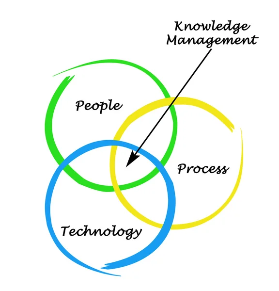 Knowledge Management — Stock Photo, Image