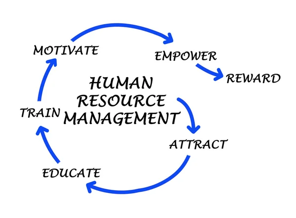 Human resourcemanagement — Stockfoto